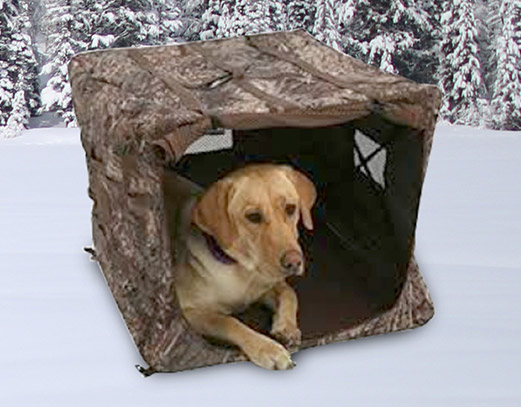 Brown dog sitting in a fabric pop-up home in the snow.